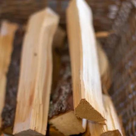 Schoeneben Hochfeld Huette Vakantiehuis Wald im Pinzgau